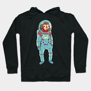 Space sloth Hoodie